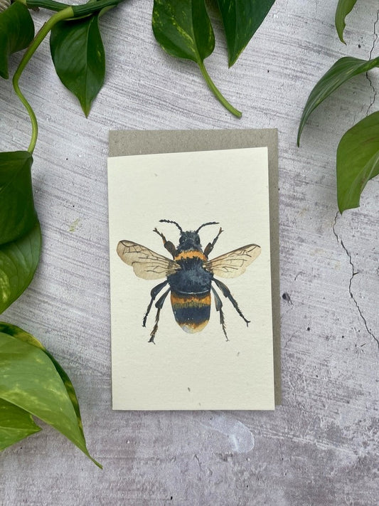 Plantable Greeting Card - Check These Out!